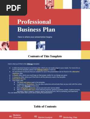 Professional Business Plan _ by Slidesgo