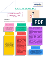 Comunicacion Ii 1°y2° Sem 14