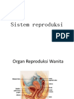 Sistem reproduk-WPS Office