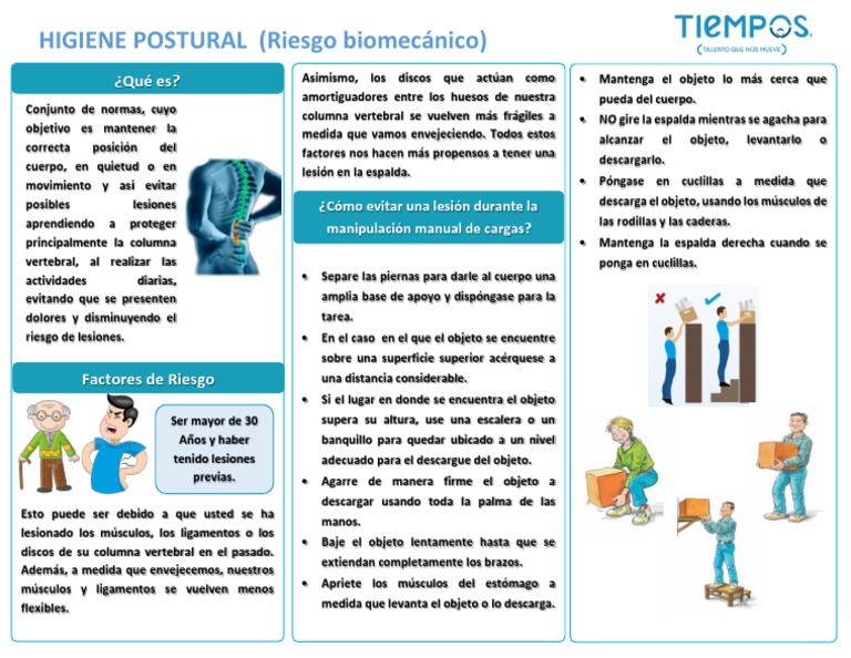 Higiene Postural | PDF | Dolor lumbar | La columna vertebral