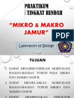 BTR BAB III Mikro & Makro Jamur