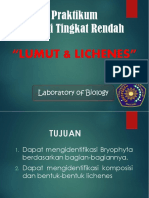 BTR BAB IV Lumut Dan Lichenes New