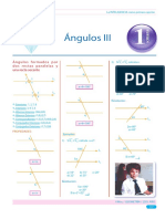 Guía 1-Angulo III