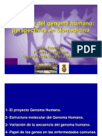 Estructura Del Genoma Humano