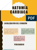 Anatomía Cardiaca