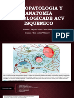 FISIOPATOLOGIA ACV ISQUEMICO