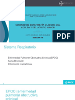 PDF PROFE (1)