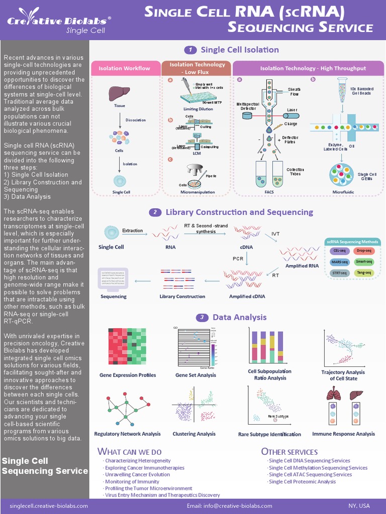 Single Cell Gene Expression Service 20200623 | PDF | Omics | Laboratory ...