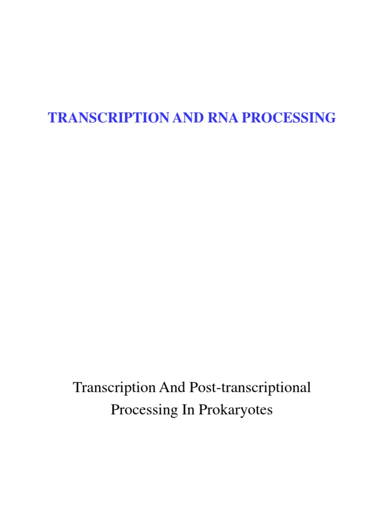 Prokaryotic Transcription and RNA Processing | PDF | Rna | Messenger Rna