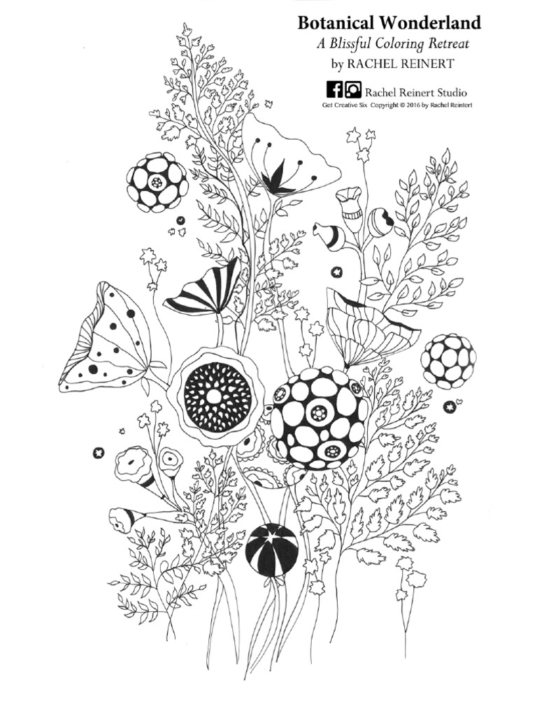 Botanical Wonderland A Blissful Coloring Retreat Rachel Reinert ...