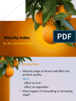 Maturity Index Maturity Index: By: Mrs. Siti Fairuz Yusoff