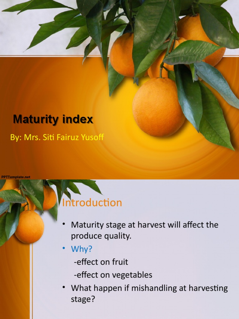 Maturity Indices in Horticulture | PDF | Fruit | Mango