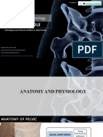 Anatomy and Physiology of Pelvic Girdle