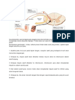 Nota 2