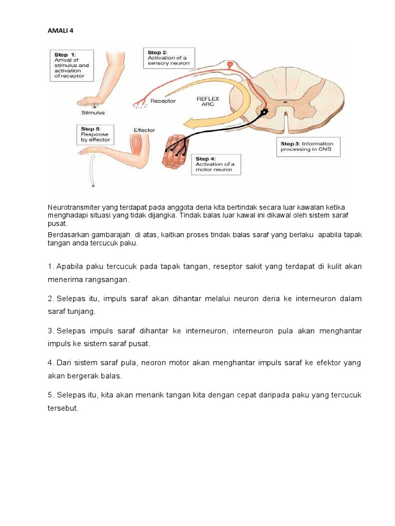 Nota 2 Pdf
