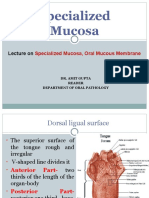 Specialized Mucosa, Oral Mucous Membrane