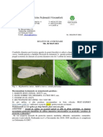 28 BA NR.28 .Hyphantria Cunea La Pomi Fructiferi Si Arbori