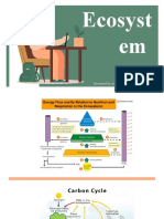 Ecosyst Em: Reviewed by Amelia Yuni Saputri (2023022011)