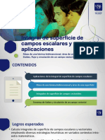 S13 INT SUP CAMPOS ESCALARES y VECTORIALES APLICACIONES_T STOKES