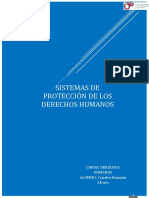 Sistemas de Protección Dd.hh - Canales Huamán Alvaro