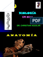 CFC - Huesos Del Cráneo PDF