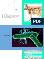 Microbiología Exposicion - Bit