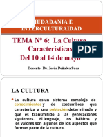 CULTURA CARACTERISTICAS (11 May 21