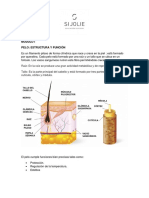 Diseño de Cejas Módulo I