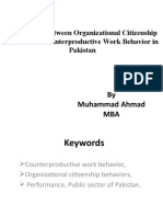 Relationship Between OCB, CWB and Performance in Pakistan's Public Sector