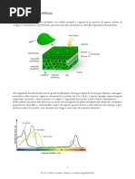 biologia-fotosintesi-clorofilliana
