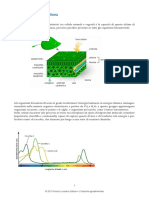 Biologia Fotosintesi Clorofilliana