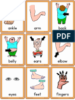 body-set-1-small-flashcards-with-labels