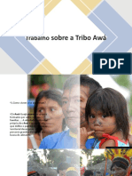 Tribo Awá Trabalho Mariana Botelho Machado turma 41