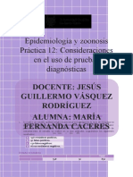 Pruebas Diagnosticas Práctica 12