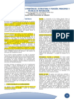 5 Nervios Perifericos Estructura y Funcion Reparacion