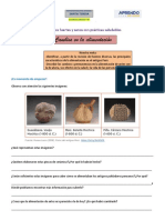 Cambios en la alimentación (1)