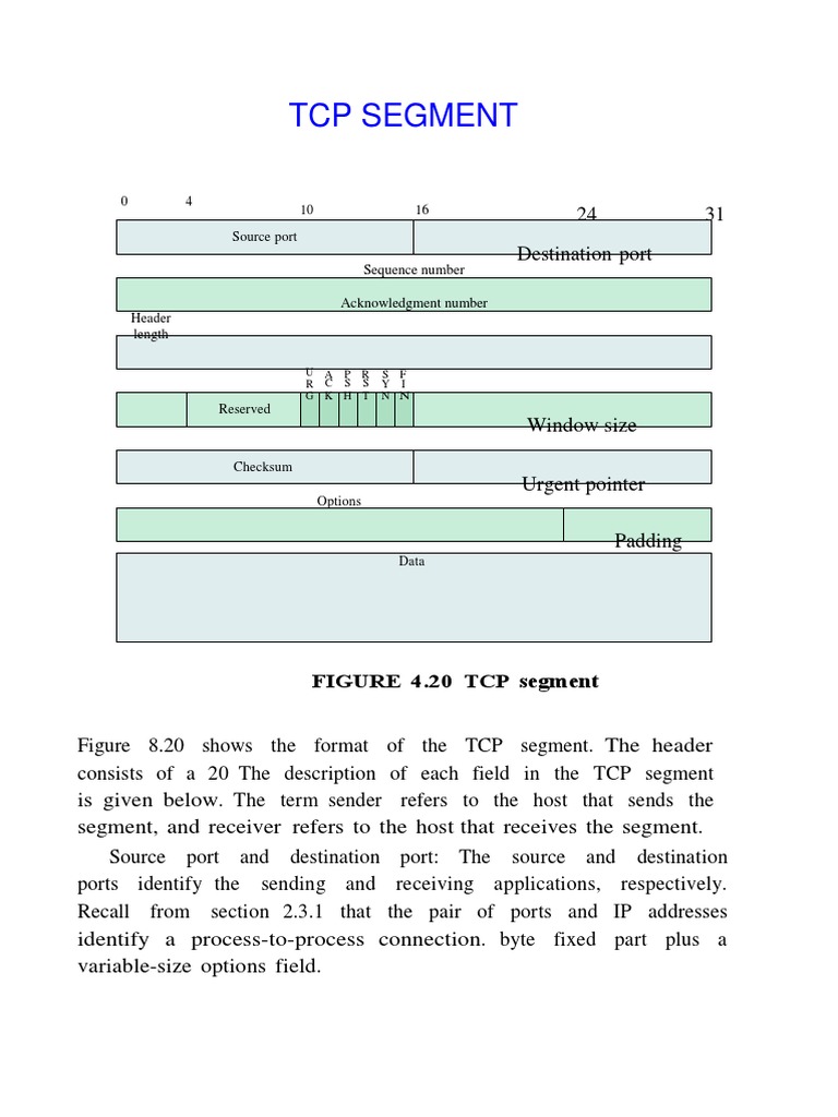 TCP Segment: 0 4 Source Port 16 10 | PDF | Transmission Control ...