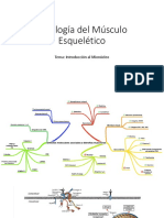 Fisiología Del Músculo Esquelético: Tema: Introducción Al Mionúcleo