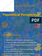 Psy Theoretical Review