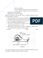 Td de Zoologie Pv III