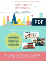 Instituciones Protectoras Del Perú