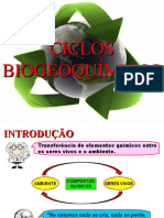 CICLOS BIOGEOQUIMICOS