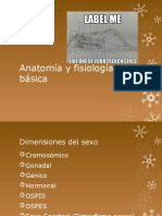 Anatomía y Fisiología Básica