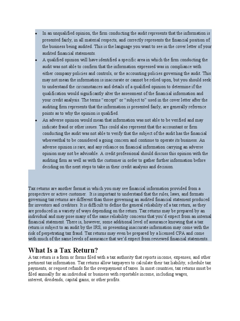 What Is A Tax Return PDF Tax Return (United States) Audit