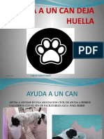 Cuidado Animal