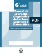 PRI 6 - Manual Prueba diágnóstica
