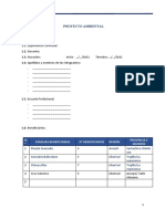 ESTRUCTURA PROYECTO AMBIENTAL -Matriz