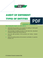 Audit of Different Types of Entities