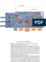 Vías Del Complemento Inmunología