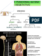 Sist-Nervioso.
